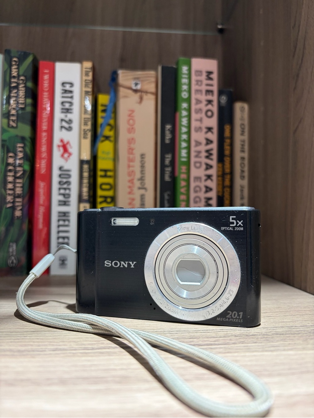 Sony Cyber-shot point and shoot digital camera